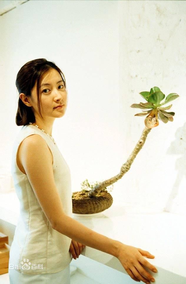 李英爱(（韩），Lee Young Ae（英）)精彩图册