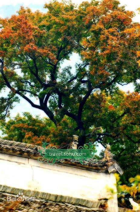 最新成宥利(Sung Yuri)精彩图册