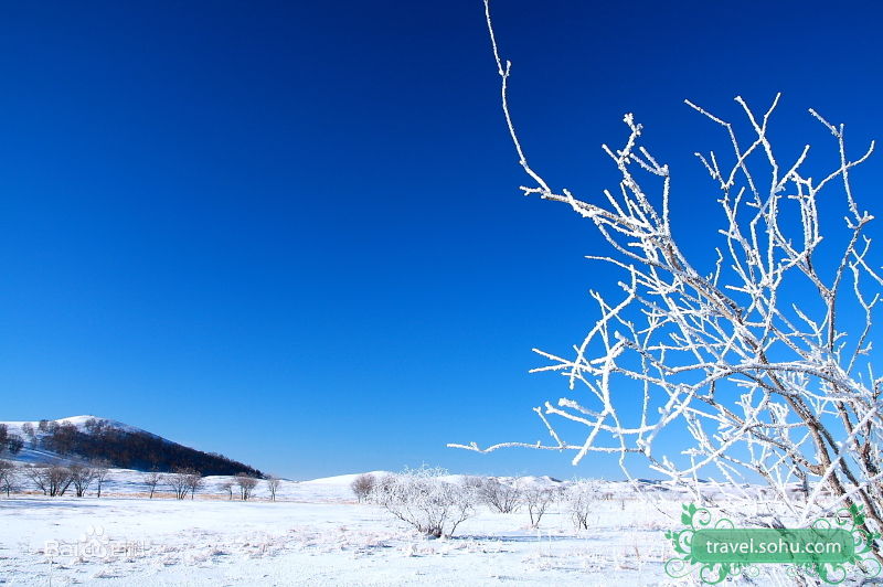 最新成宥利(Sung Yuri)精彩图册