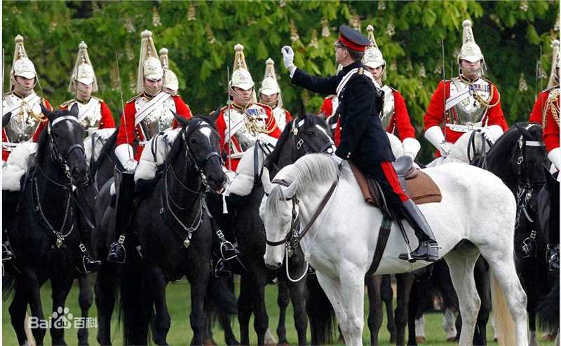 最优质廉晶雅()生活照