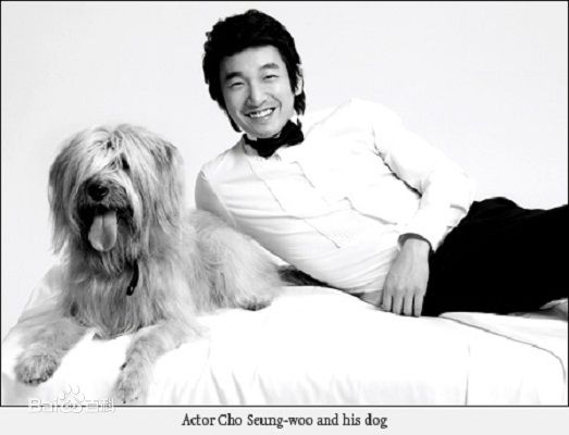 高清曹承佑(Cho Seung-woo，)精彩图册