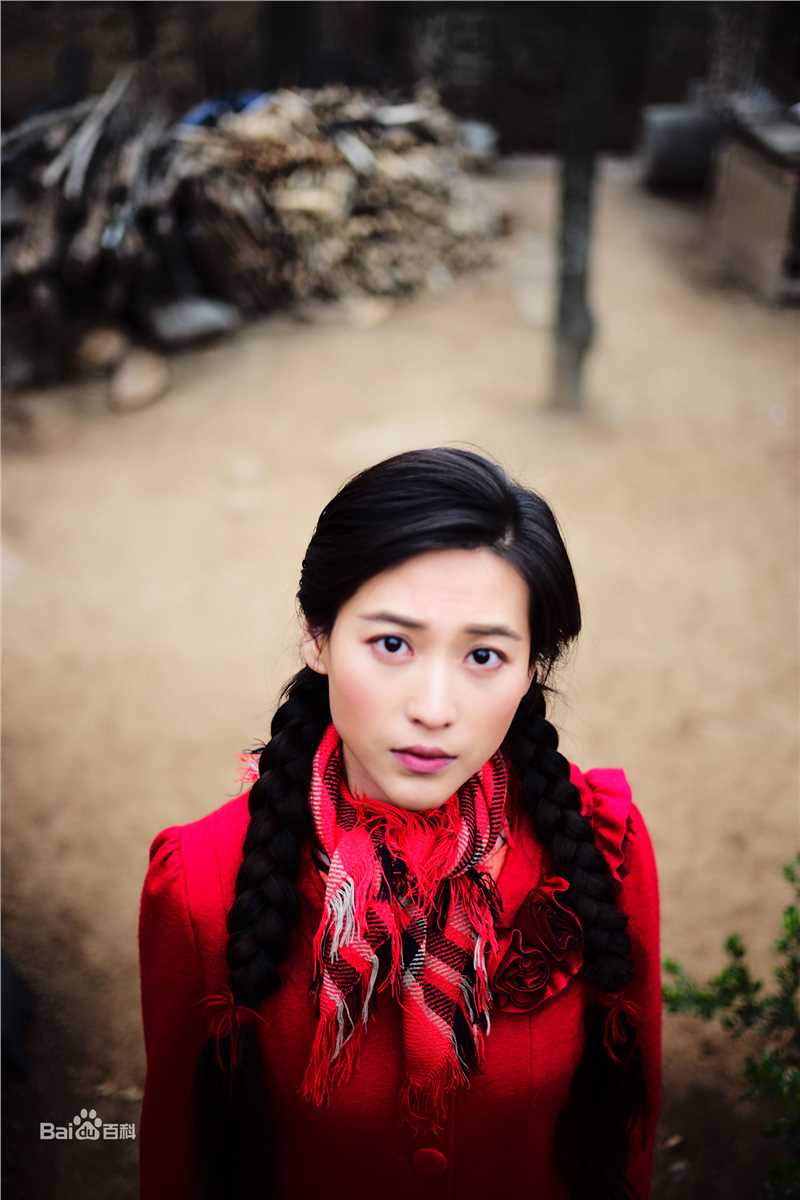 最全丹琳(Dānlín)在《黄大妮》饰辛晓勤中的壁纸