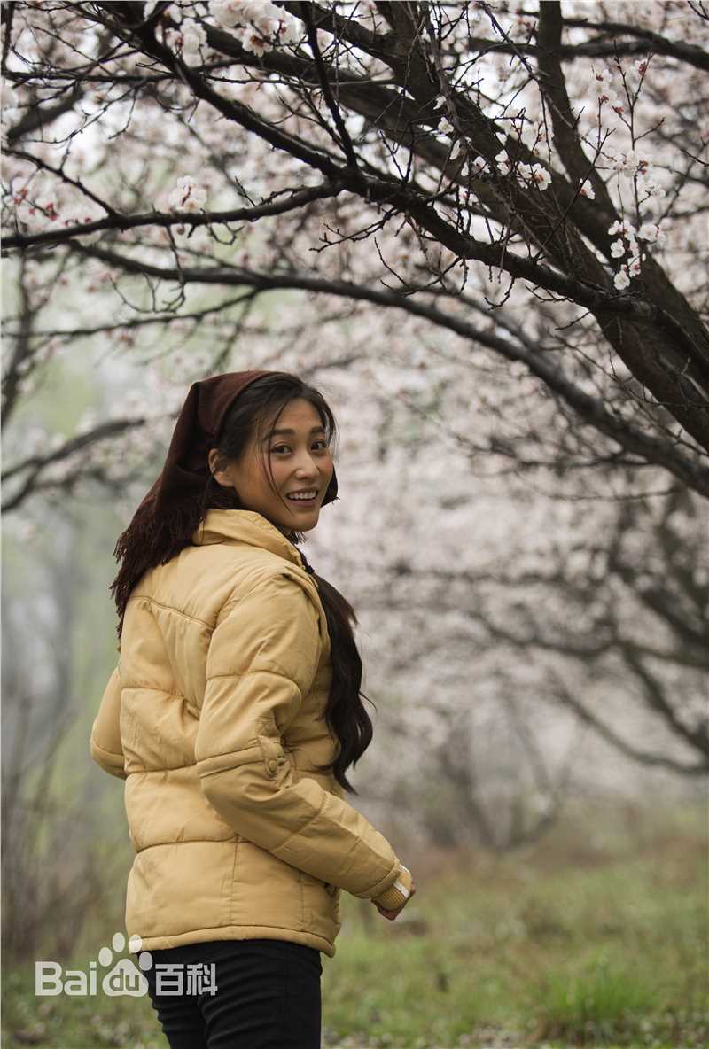 最全丹琳(Dānlín)在《黄大妮》饰辛晓勤中的壁纸