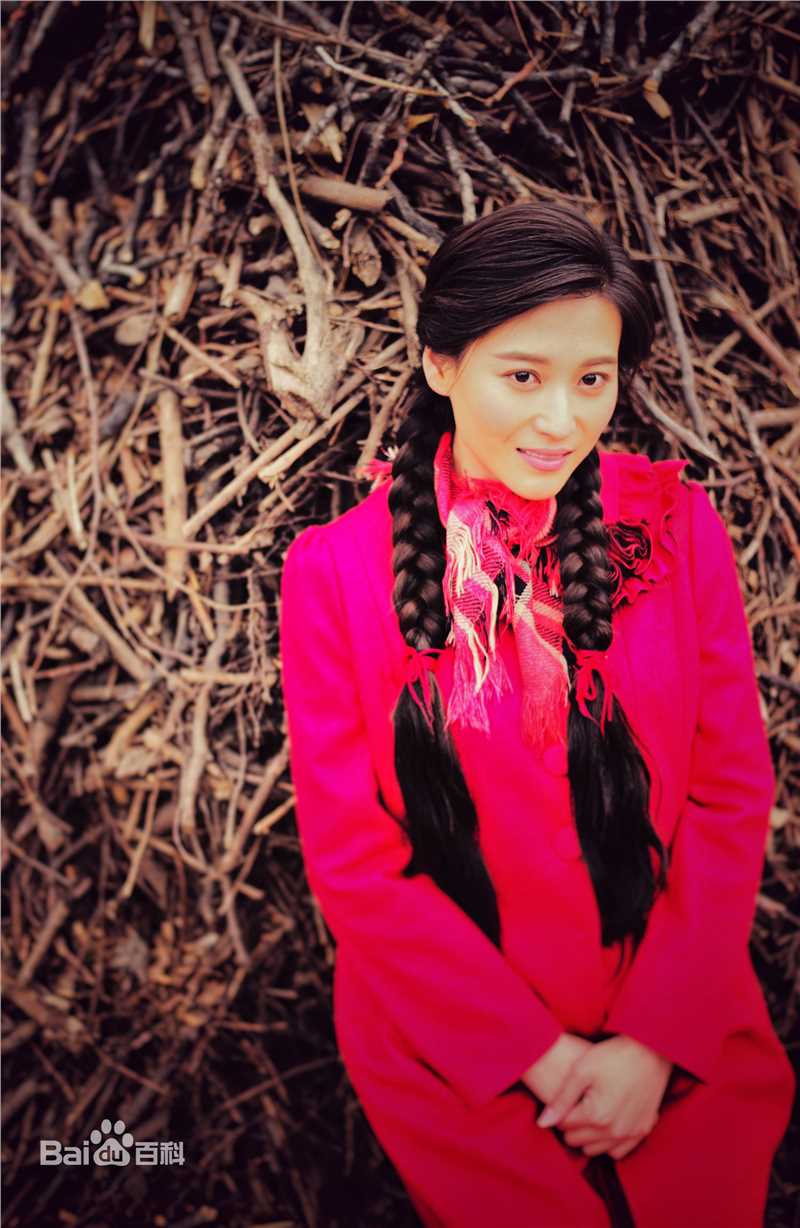 最全丹琳(Dānlín)在《黄大妮》饰辛晓勤中的壁纸