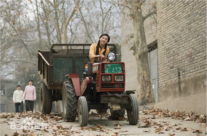 最全丹琳(Dānlín)在《黄大妮》饰辛晓勤中的壁纸