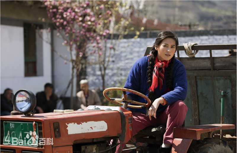 最全丹琳(Dānlín)在《黄大妮》饰辛晓勤中的壁纸