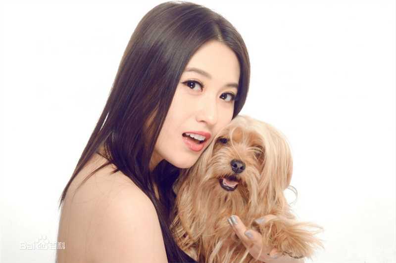 丹琳(Dānlín)【宠物派】图册