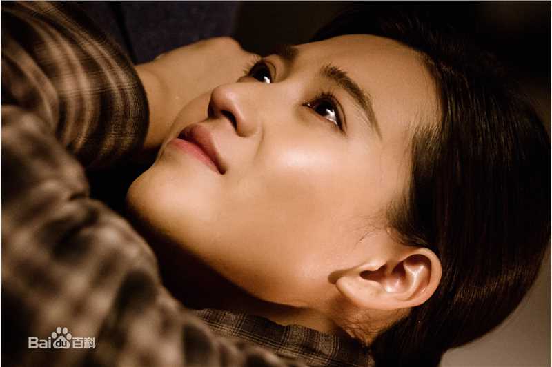 丹琳(Dānlín)电视剧《共和国血脉》最优质剧照