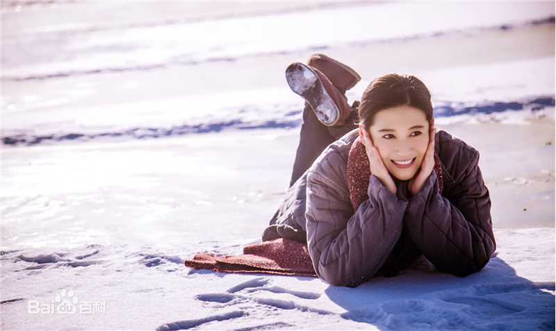 丹琳(Dānlín)电视剧《共和国血脉》最优质剧照