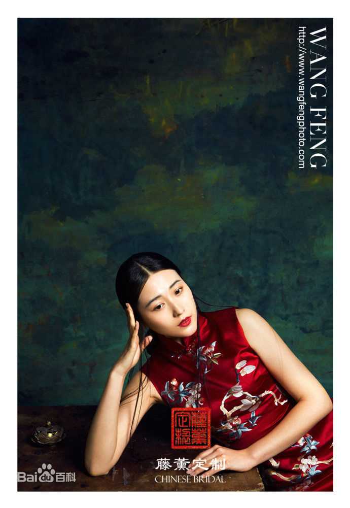 丹琳(Dānlín)广告代言前后照片