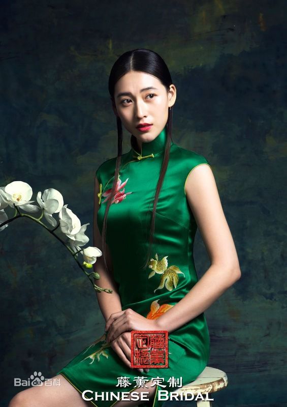 丹琳(Dānlín)广告代言前后照片