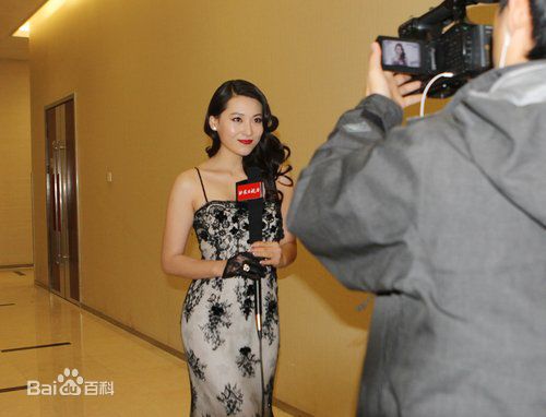 丹琳(Dānlín)出席活动照壁纸壁纸