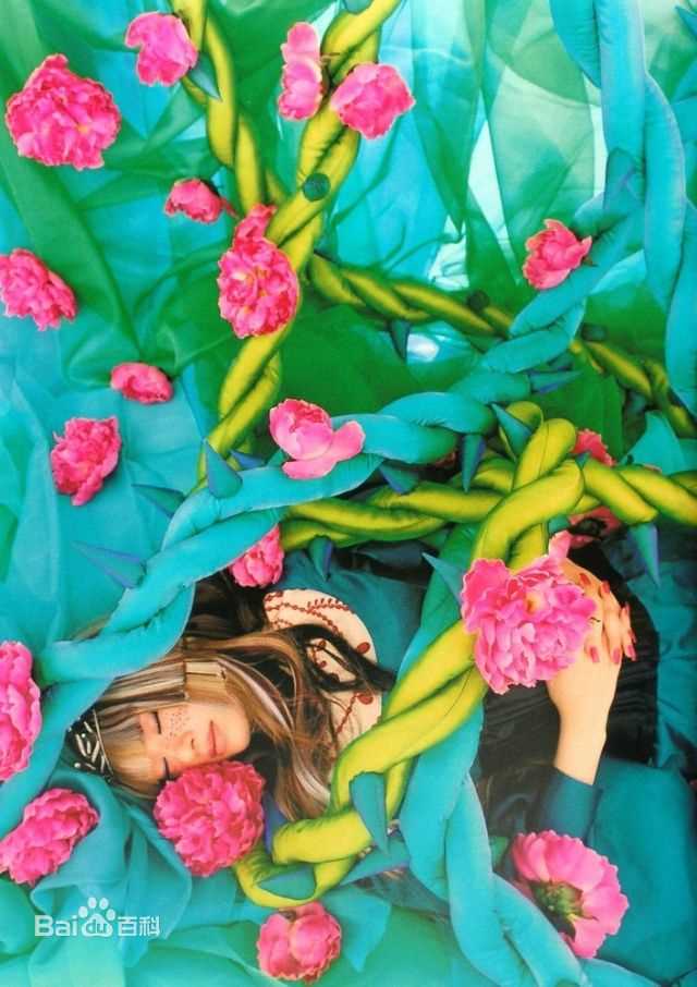 高清蜷川实花(Ninagawa Mika)精彩图册