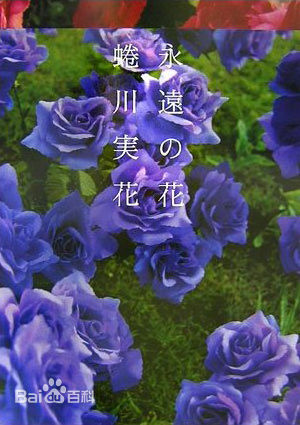 蜷川实花(Ninagawa Mika)前后照片