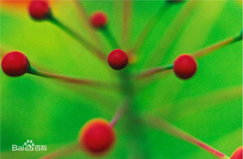 蜷川实花(Ninagawa Mika)前后照片