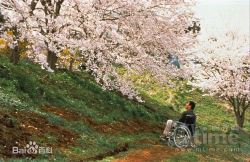北野武(Kitano Takeshi)代表作《花火》精选剧照