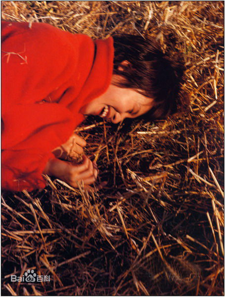 中谷美纪(なかたに みき)照