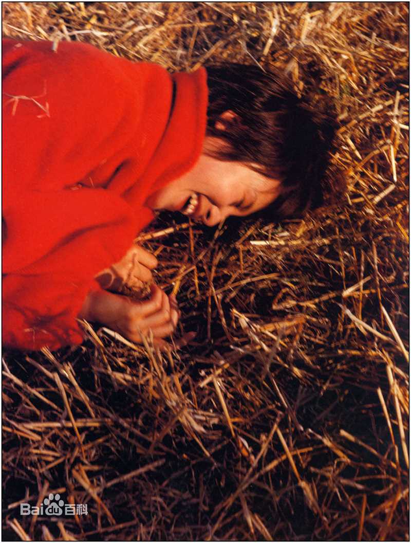 最全中谷美纪(なかたに みき)精彩图册