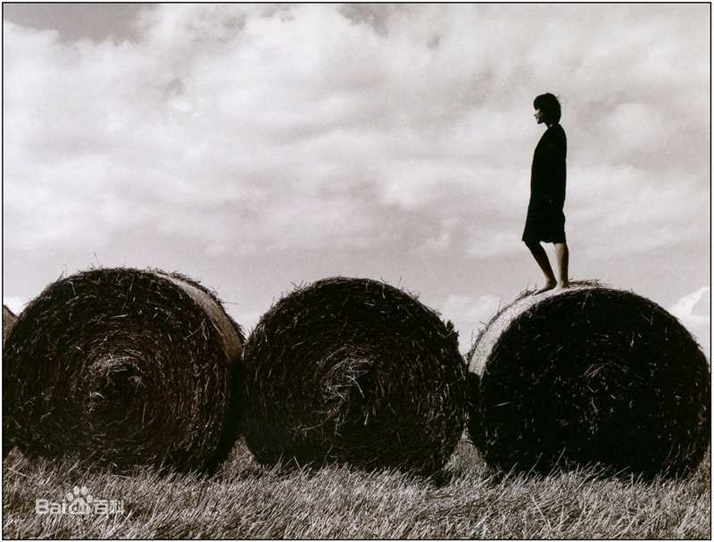 中谷美纪(なかたに みき)精彩图册