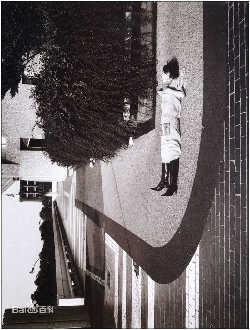 中谷美纪(なかたに みき)精彩图册