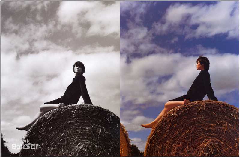 中谷美纪(なかたに みき)精彩图册