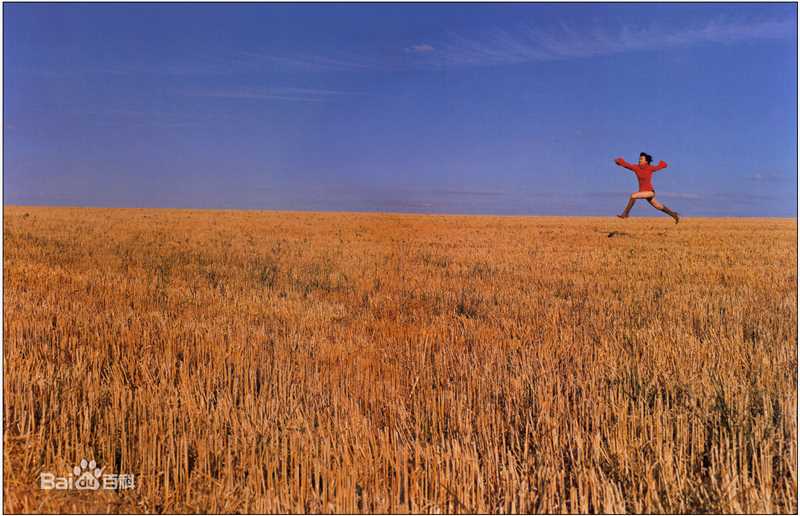 高清中谷美纪(なかたに みき)精彩图册