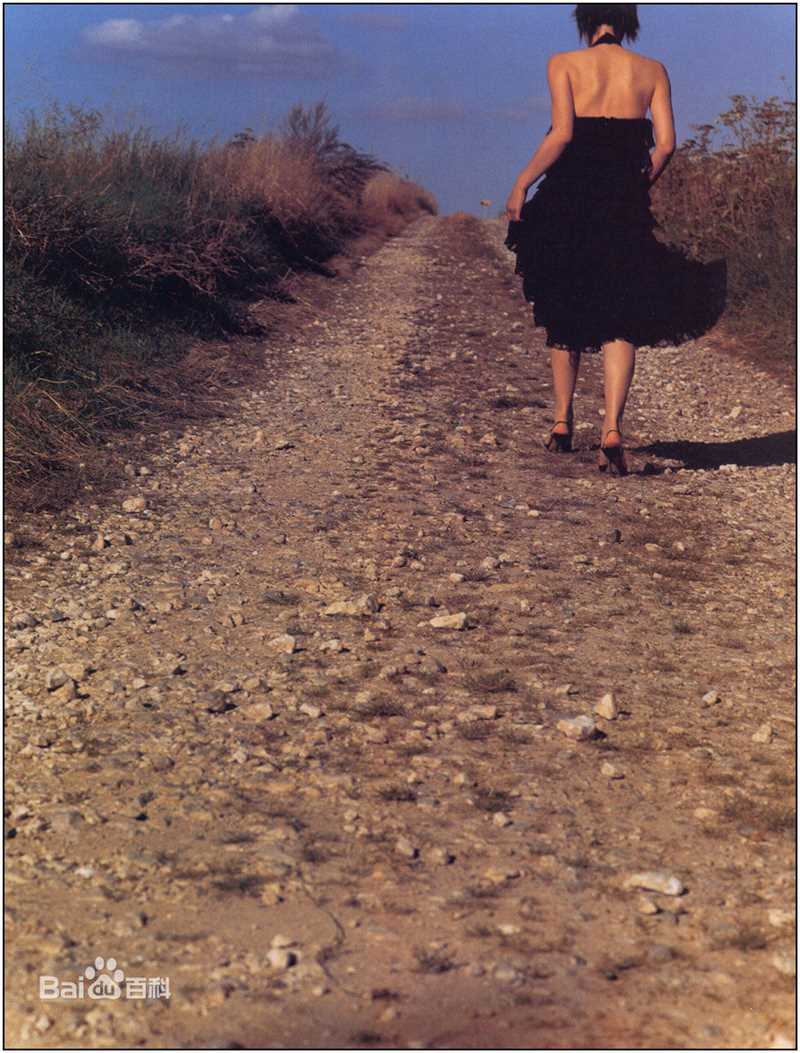 高清中谷美纪(なかたに みき)精彩图册