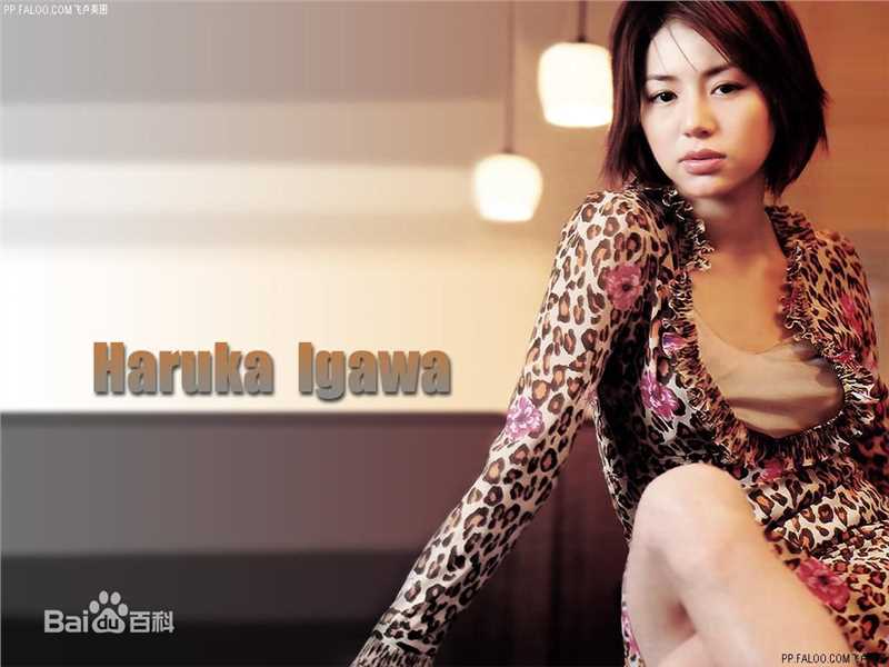 精选井川遥(Yoshie Ch 、いがわ はるか)图片