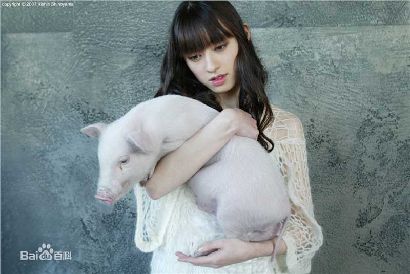 最全栗山千明(Chiaki Kuriyama/Queen Bee)精彩图册