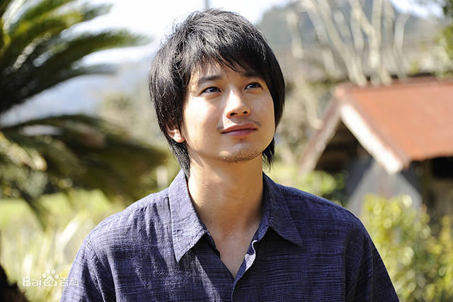 向井理(Osamu Mukai)黄色大大象图册