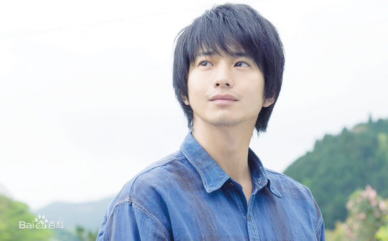 向井理(Osamu Mukai)黄色大大象图册