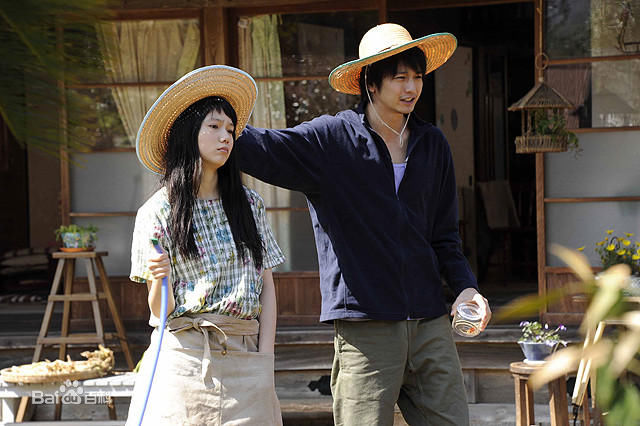 向井理(Osamu Mukai)黄色大大象图册