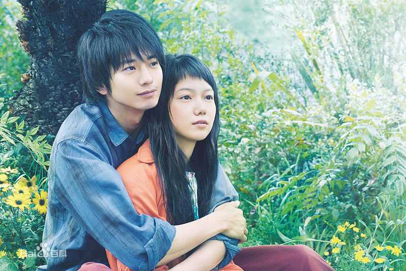 向井理(Osamu Mukai)黄色大大象图册