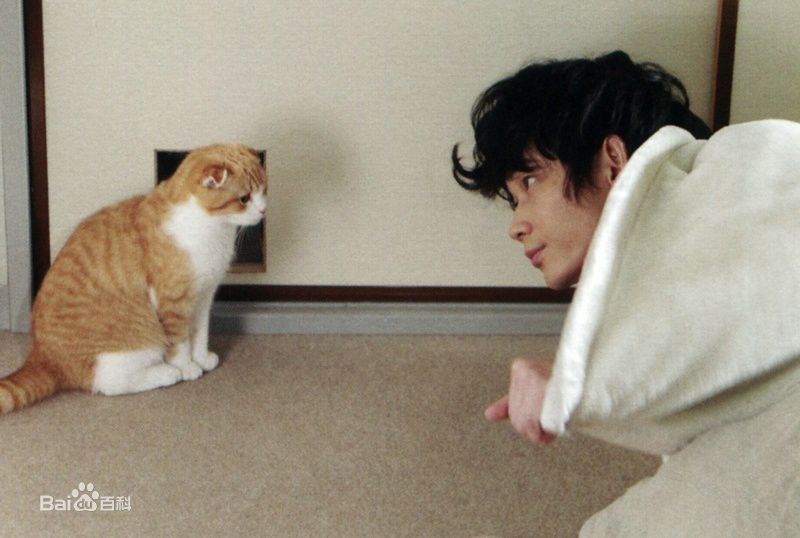 绫野刚(Go Ayano)最完美的离婚性感图片图集