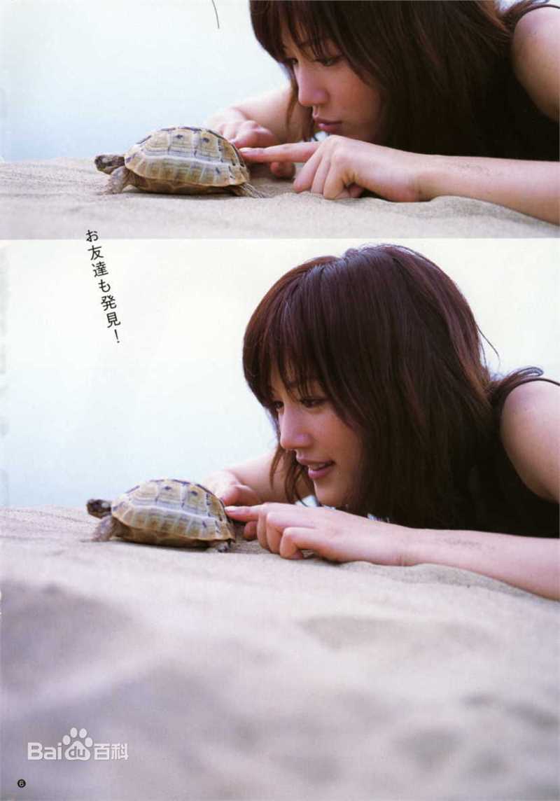 绫濑遥(綾瀬はるか、Ayase Haruka)精彩图册