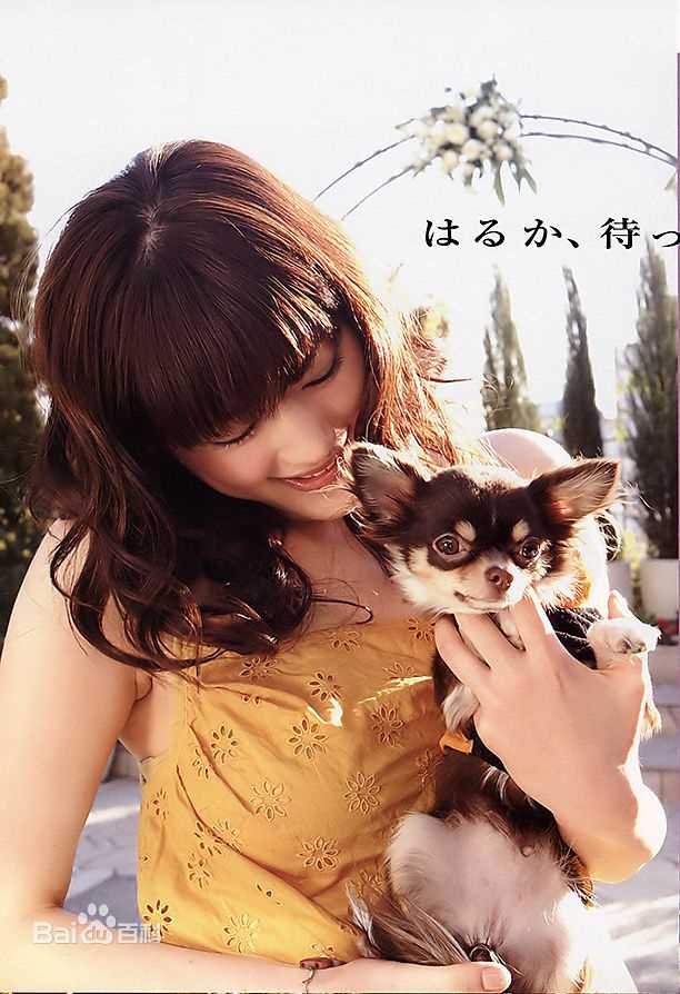 绫濑遥(綾瀬はるか、Ayase Haruka)精彩图册