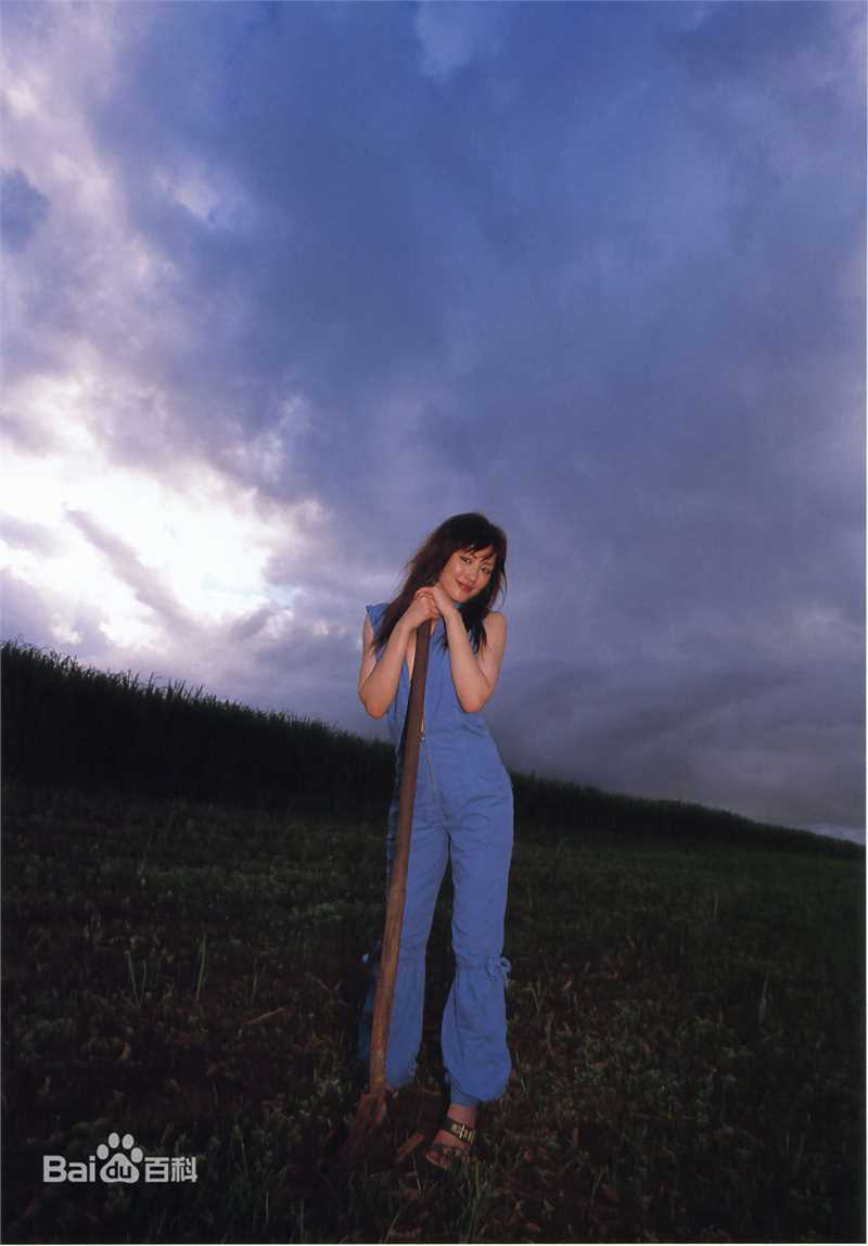 最全绫濑遥(綾瀬はるか、Ayase Haruka)精彩图册