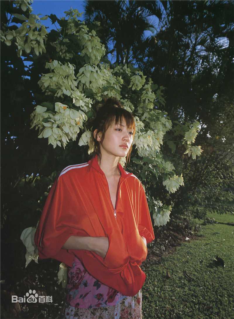 最全绫濑遥(綾瀬はるか、Ayase Haruka)精彩图册