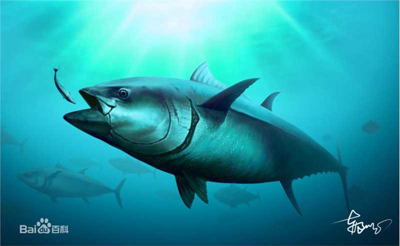 最新德重 聪(徳重 聡)性感图片