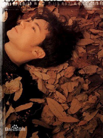 最优质东山纪之(ひがしやまのりゆき，Higashiyama Noriyuki)精彩图册