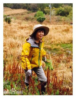 竹下景子图集图册