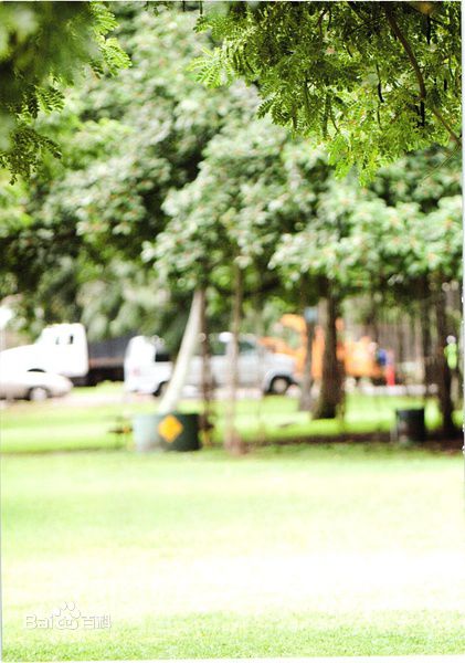 最新杉本有美(すぎもと ゆみ (Sugimoto Yumi))精彩图册2