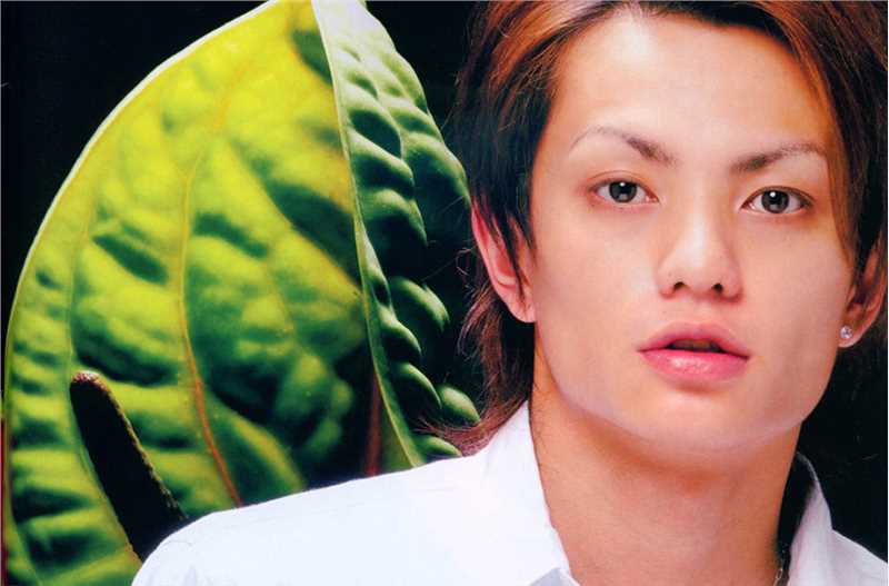 最新田中圣(たなか こうき、TANAKA KOKI、)壁纸