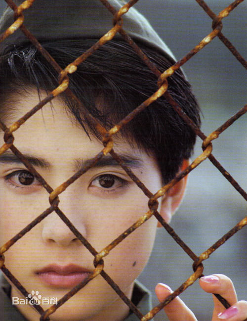 深津绘里(深津絵里（Eri Fukatsu）)早年图片壁纸壁纸