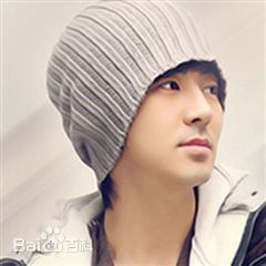 朴忠栽(韩文： /英文：Park Chungjae)早期照片图册