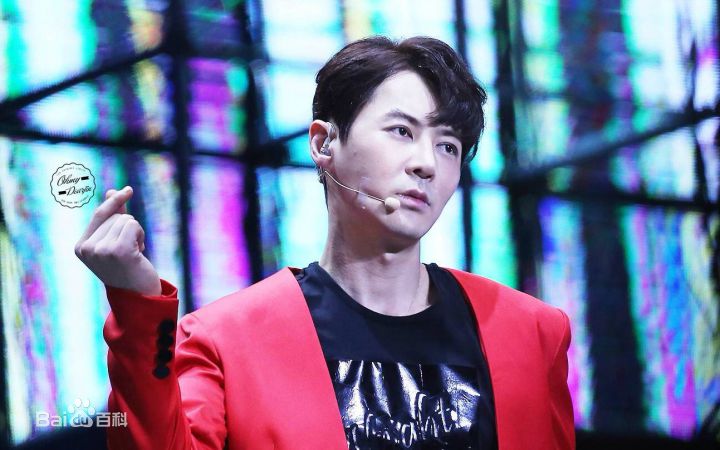 朴忠栽(韩文： /英文：Park Chungjae)演唱会素颜照相册