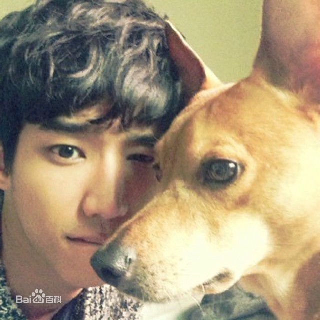 精选刘以豪(Jasper Liu)