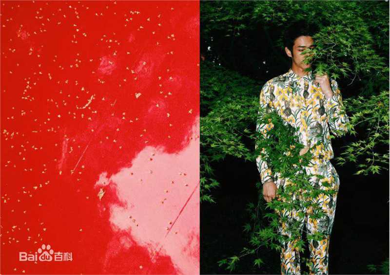 刘以豪(Jasper Liu)书籍图册