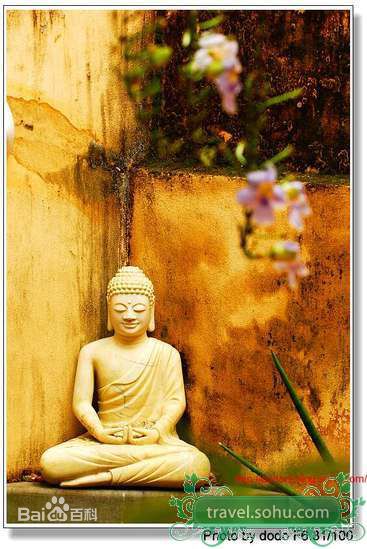 最全胡婷婷(hutingting)精彩图册