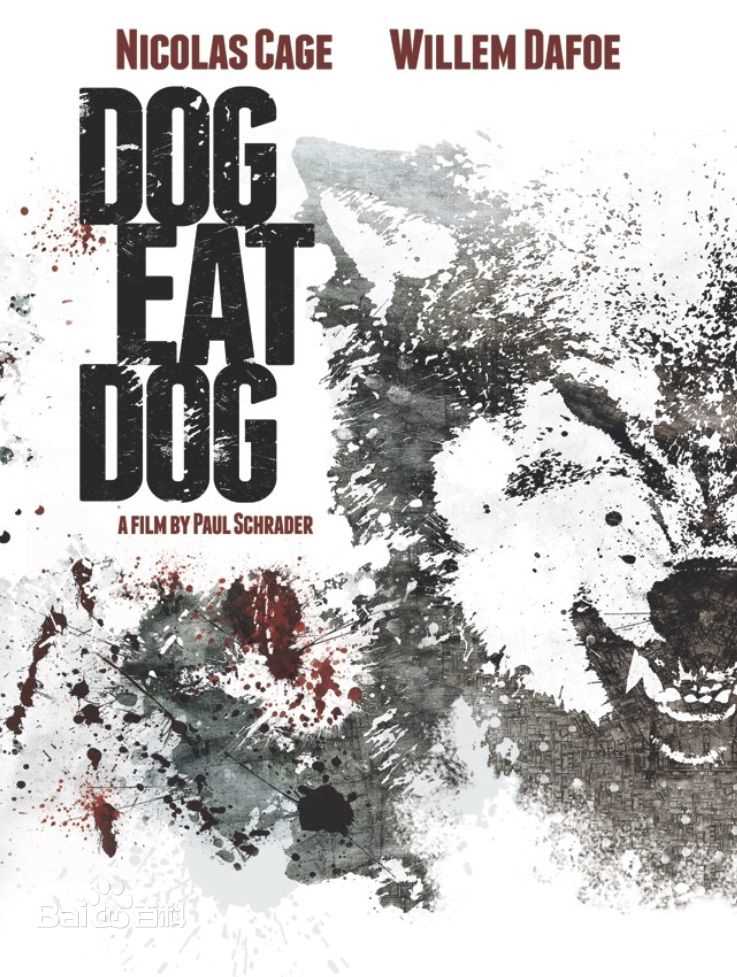 高清尼古拉斯·凯奇(Nicolas Cage)图片